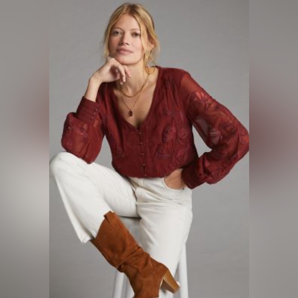 Anthropologie Burgundy Sheer Blouse